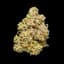 Gelato Buds 3.50 Gram