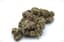 Lemon Cherry Gelato Buds 3.50 Gram