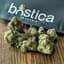 Cherries Buds 28 Gram