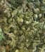 Grape Pie Buds 3.50 Gram