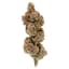 Punch Out Buds 7 Gram