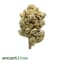 Black Dog Buds 28 Gram