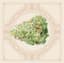 Pineapple Buds 3.50 Gram
