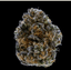 Oishii Buds 3.50 Gram