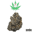 Gogurtz Buds 3.50 Gram