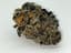 Black Haze Buds 14 Gram
