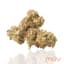 Georgia Pie X Gastro Pop Buds 3.50 Gram