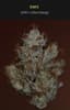 Gmo Buds 14 Gram
