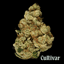 Singapore Sling Buds 3.50 Gram