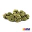 Funk Mountain Buds 14 Gram