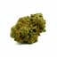 Sherbert Buds 14 Gram
