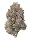 Gary Payton Buds 3.50 Gram