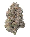 Gary Payton Buds 3.50 Gram