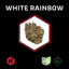 White Rainbow Buds 14 Gram