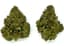 Pinata Unicorn Buds 3.50 Gram
