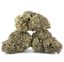 Zweet Insanity Buds 3.50 Gram
