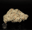 Yellow Buds 3.50 Gram
