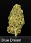 Blue Dream 14 Gram Flower
