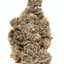 Blueberry Muffin Buds 14 Gram