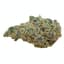 Christmas Cookies Buds 14 Gram