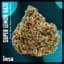 Super Lemon Haze Buds 28 Gram