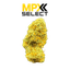 Vics Tahiti Lime Buds 3.50 Gram