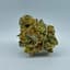 Glitter Bomb Buds 7 Gram