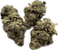 Jungle Pie Buds 3.50 Gram