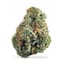 Super Lemon Mac Buds 3.50 Gram