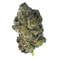 Pink Zkittlez Buds 7 Gram