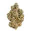 La Bomba Buds 7 Gram