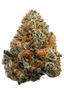Rainbow Buds 3.50 Gram