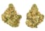 Lemon Tree Buds 3.50 Gram