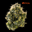 Lemon Batter Buds 3.50 Gram