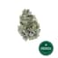 Cookie Cake Buds 3.50 Gram