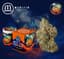 Sour Magic Buds 3.50 Gram