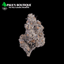 Rising Tide Buds 14 Gram