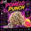 Pomelo Punch Buds 3.50 Gram