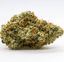 Sweet Tree Buds 14 Gram