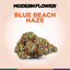 Blue Beach Haze Buds 28 Gram