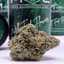 Oranguava Buds 14 Gram