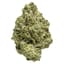 Lemon Splash Buds 28 Gram