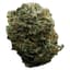 Milky Way Buds 28 Gram