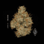 Kiss Buds 14 Gram