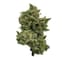 Kush Mints Buds 28 Gram