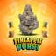 Pineapple Burst Buds 2 Gram