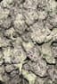 Zushi Buds 1 Gram
