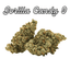 Gorilla Candy Buds 3.50 Gram