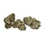 Lucky Buds 5 Gram