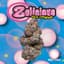 Zelicious Buds 28 Gram